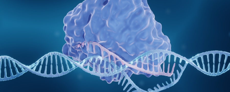 crispr-cas9